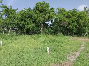 Kiwanja Tambarare