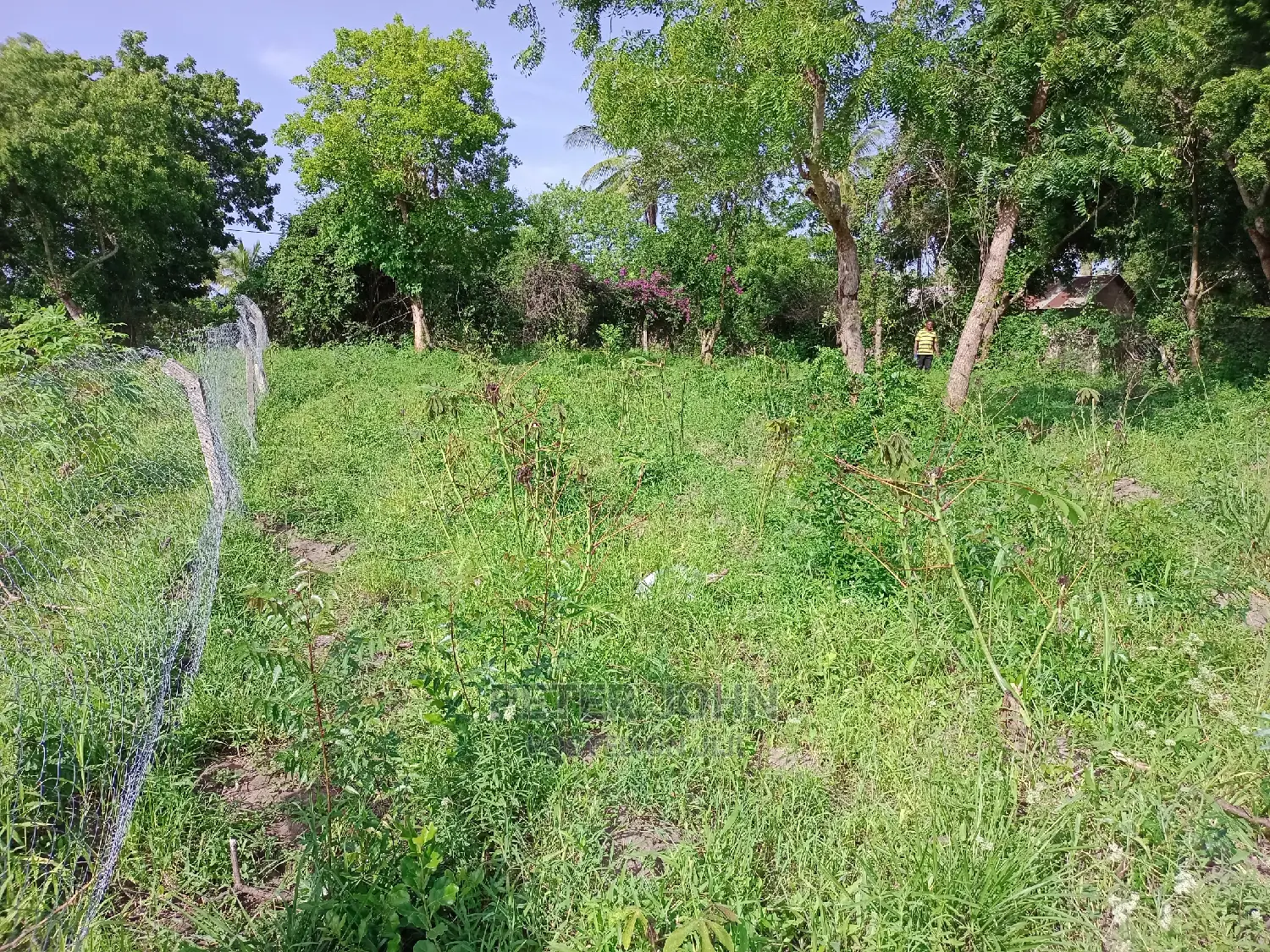 Kiwanja Tambarare