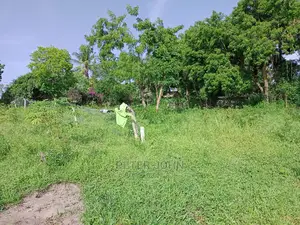 Kiwanja Tambarare