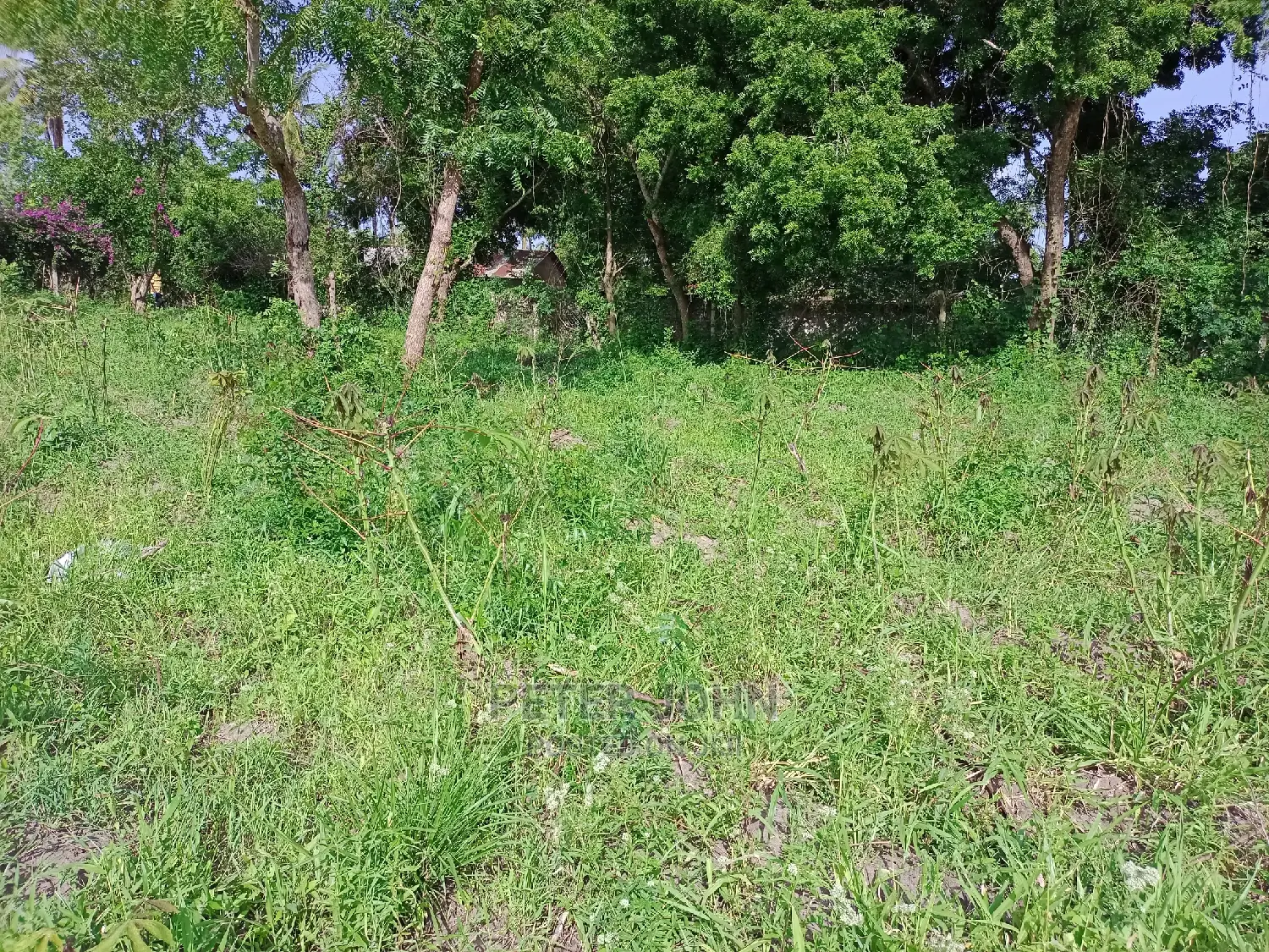 Kiwanja Tambarare