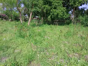 Kiwanja Tambarare