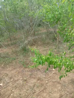 Shamba Linauzwa Mbwewe Pwani Ukubwa 100