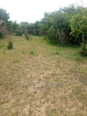 Acre 7 Zinauzwa Mbwewe Pwani Bagamoyo