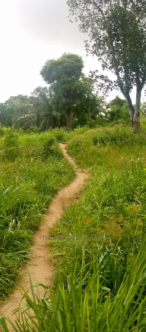 Viwanja Hivi Bora Kabisa Vinauzwa Vipo Luguruni -Mbezi
