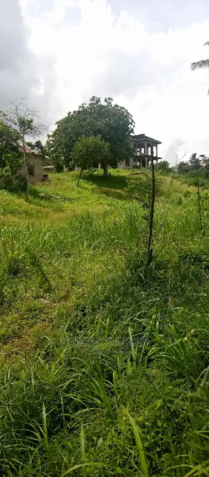 Viwanja Hivi Bora Kabisa Vinauzwa Vipo Luguruni -Mbezi