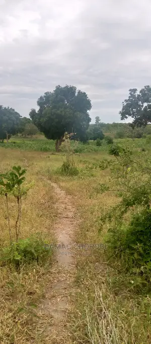 Acre 7 Zinauzwa Mbwewe Pwani Bagamoyo