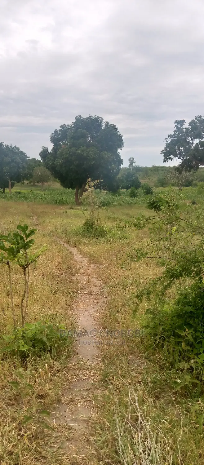 Acre 7 Zinauzwa Mbwewe Pwani Bagamoyo