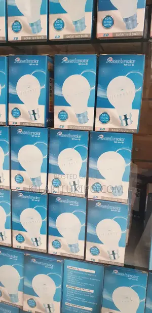 Reesdar Solar LED Bulb