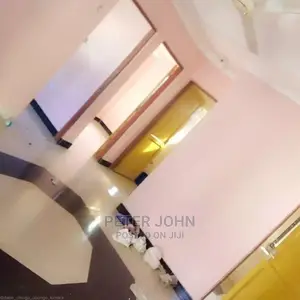 2bdrm Apartment in Mikocheni for rent