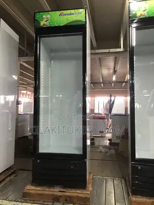 Ac/Dc Showcase Beverage Refrigerator 358L
