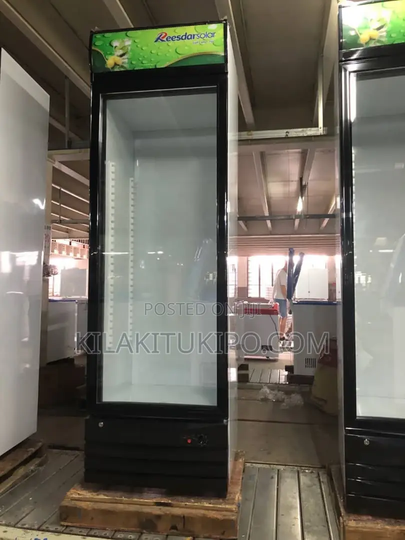 Ac/Dc Showcase Beverage Refrigerator 358L