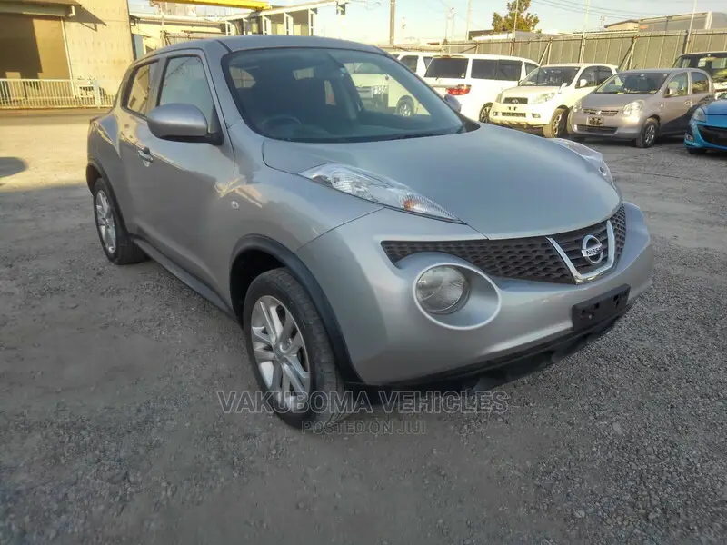 Nissan Juke 2010 Silver