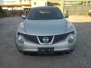 Nissan Juke 2010 Silver