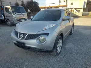 Nissan Juke 2010 Silver