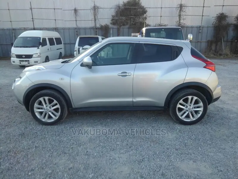 Nissan Juke 2010 Silver