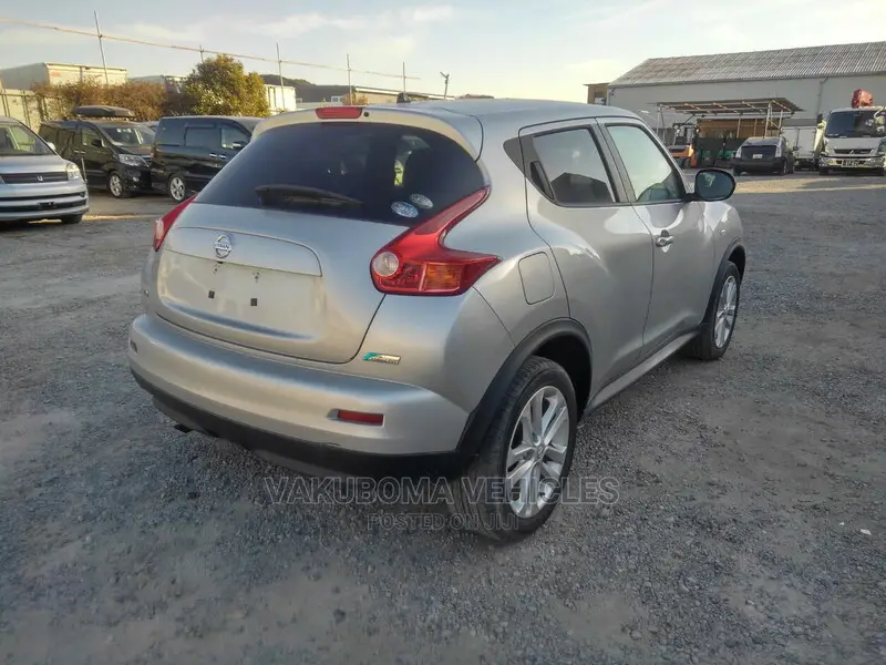 Nissan Juke 2010 Silver