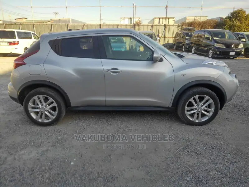Nissan Juke 2010 Silver