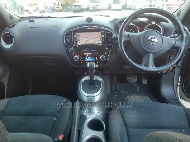 Nissan Juke 2010 Silver