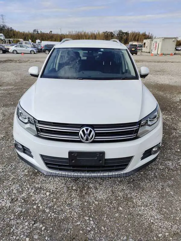 Volkswagen Tiguan 2015 Pearl