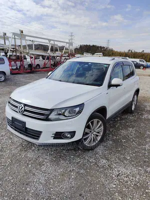 Volkswagen Tiguan 2015 Pearl