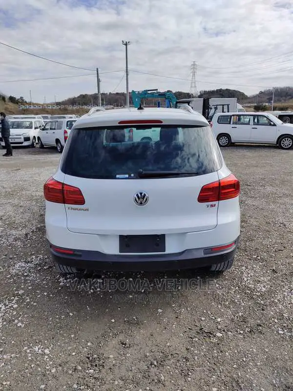 Volkswagen Tiguan 2015 Pearl