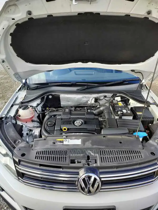 Volkswagen Tiguan 2015 Pearl