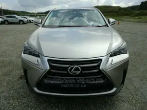 Lexus NX 2015 Gray