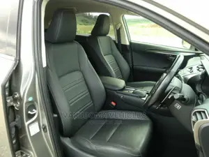 Lexus NX 2015 Gray