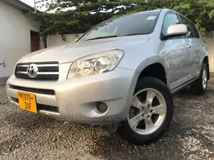 Toyota RAV4 2008 Silver
