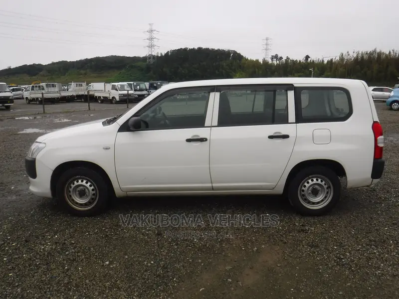 Toyota Probox 2015 Pearl