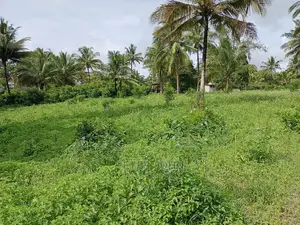 Kiwanja Kimepimwa