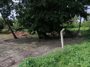Kiwanja Kimepimwa