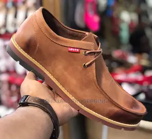 New Levi's Shoes