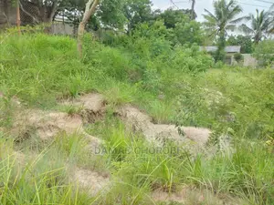 Maeneo Makubwa Yanauzwa Acre 27,Kibaha Acre 20 Kibamba