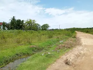 Eneo Kubwa La Kujenga Sheli Pamoja Na Yard Linauzwa Kibaha