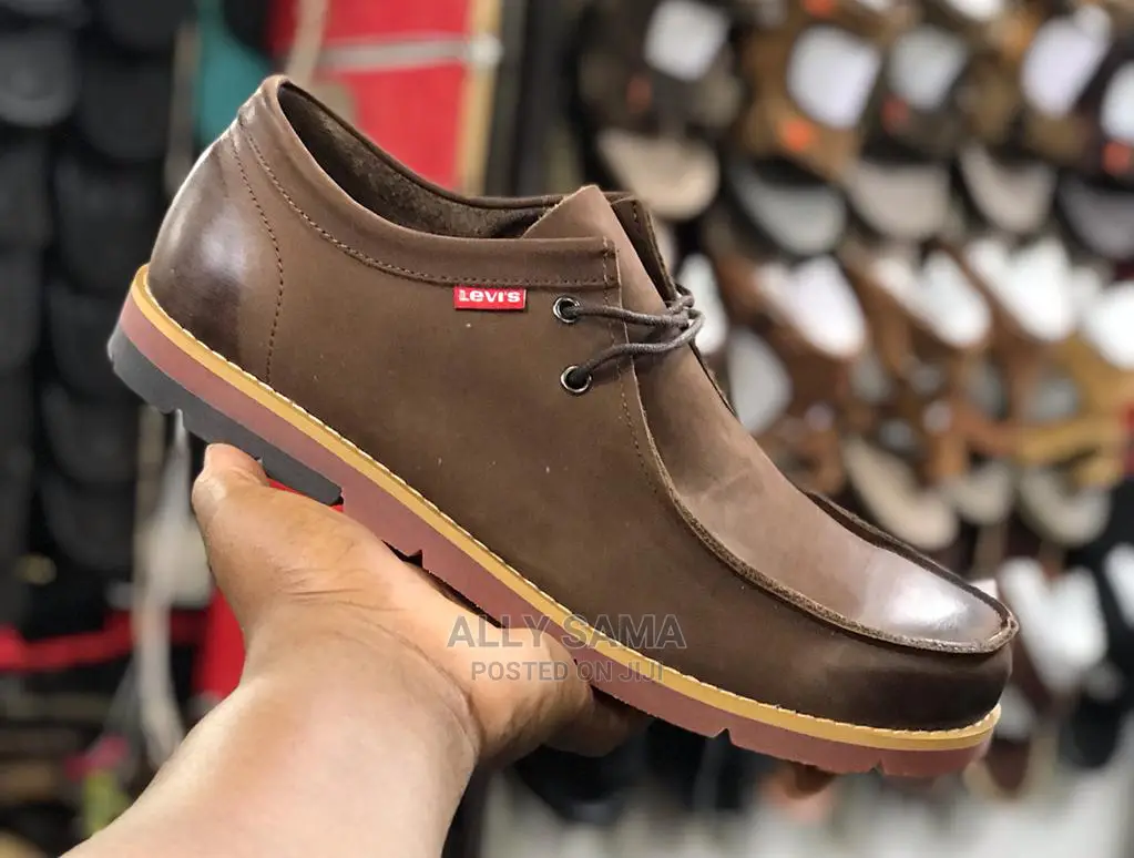 Levia 4colours