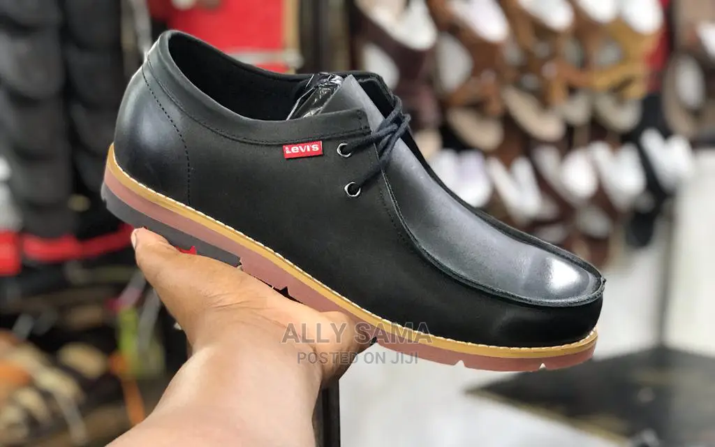 Levia 4colours