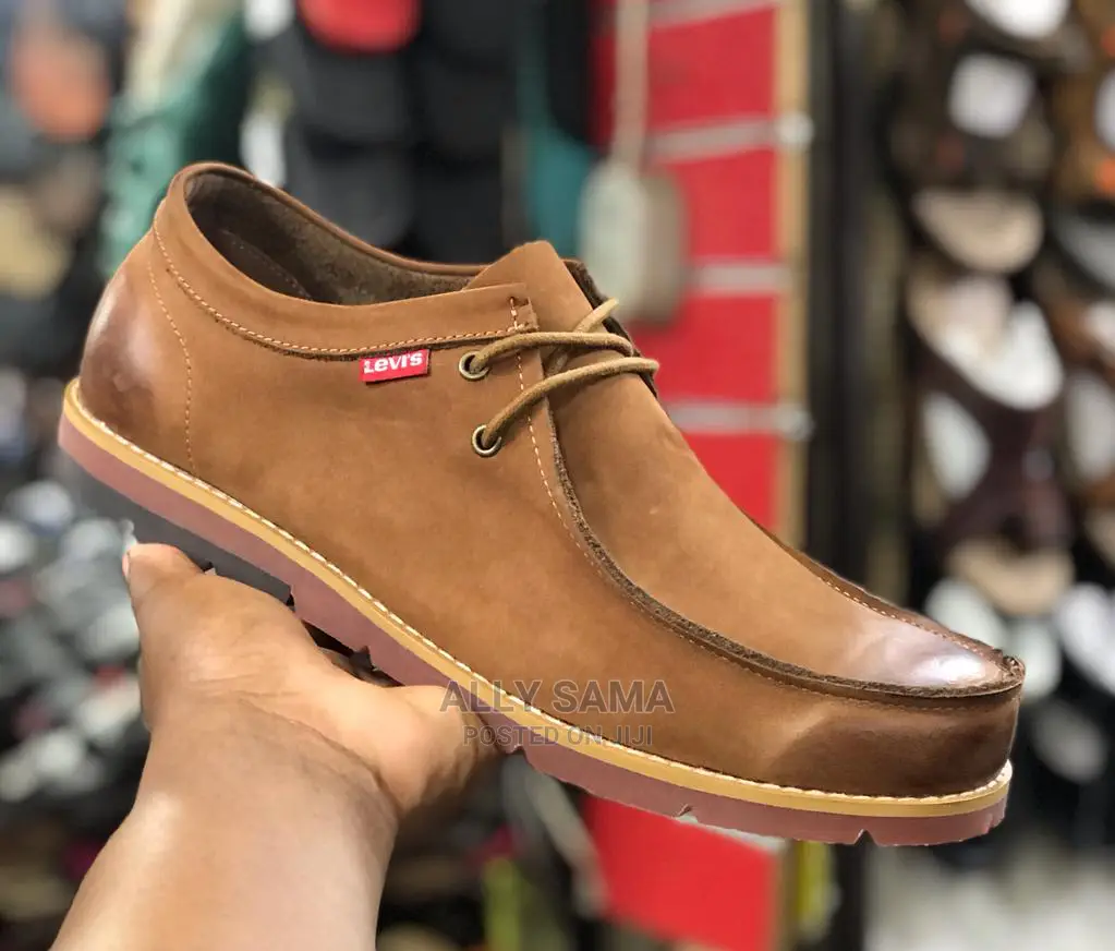Levia 4colours