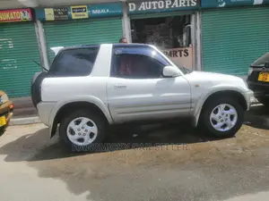 Toyota RAV4 2002 Silver