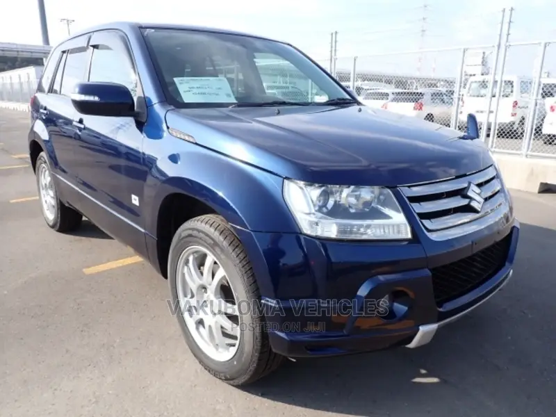 Suzuki Escudo 2008 Blue