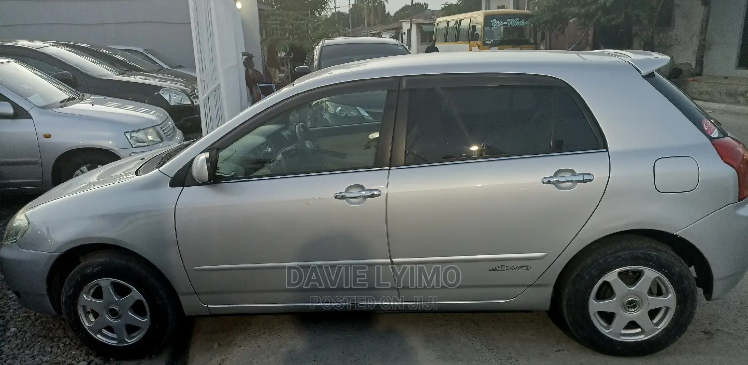 Toyota Allex 2001 Silver