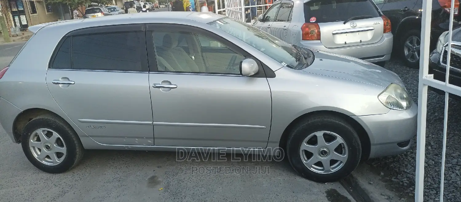 Toyota Allex 2001 Silver