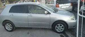 Toyota Allex 2001 Silver