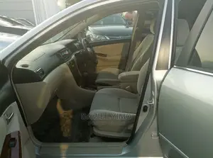 Toyota Allex 2001 Silver