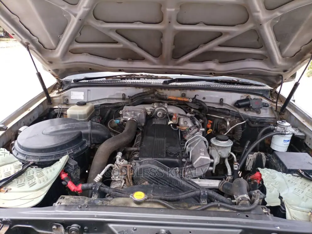 Toyota Land Cruiser 1999 Silver