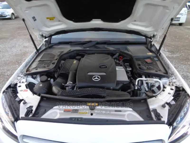 Mercedes-Benz C-Class 2015 Pearl
