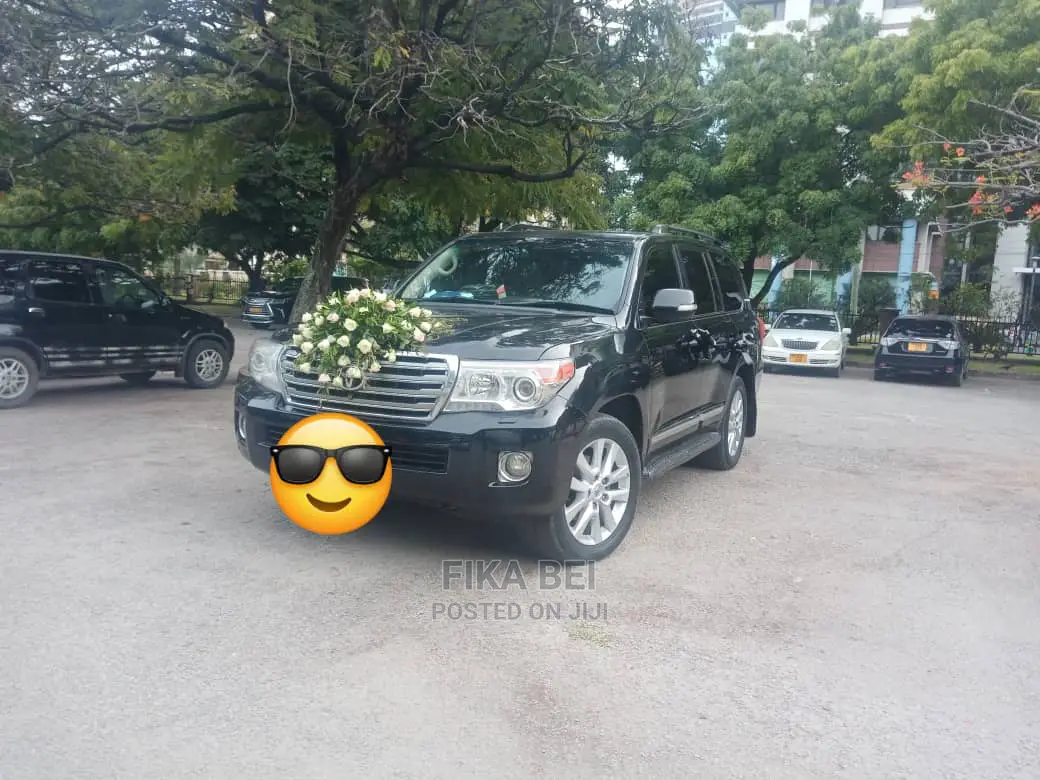 Car Rentals