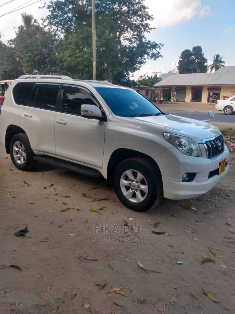 Car Rentals