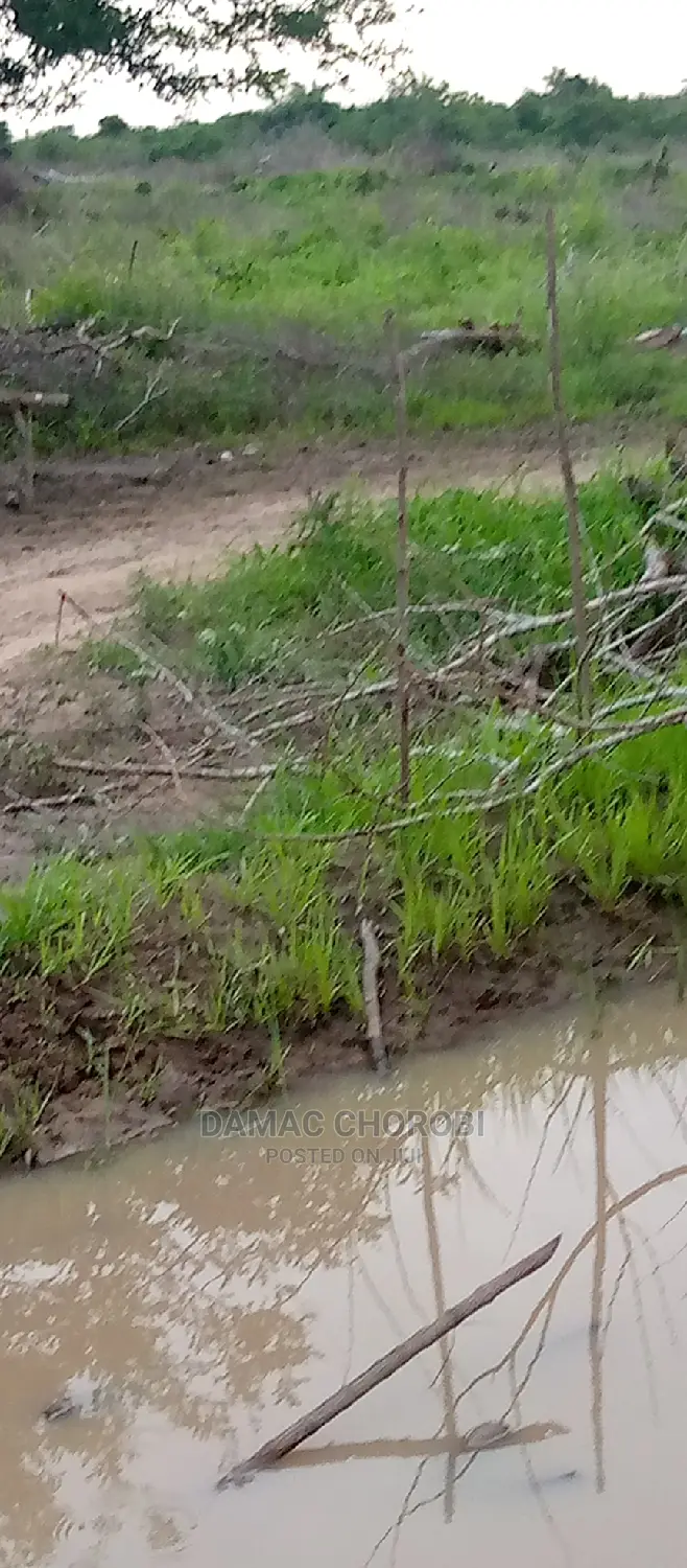 Shamba Kubwa Acre 11000 Zinauzwa Tanga in Pangani Land & Plots for