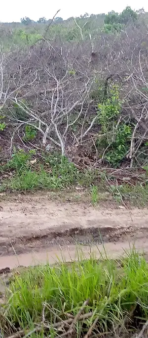 Shamba Kubwa Acre 11000 Zinauzwa Tanga